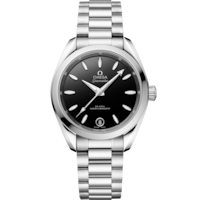 Seamaster AQUA TERRA 150M 34&nbsp;มม., สตีล บน สตีล - 22010342001001